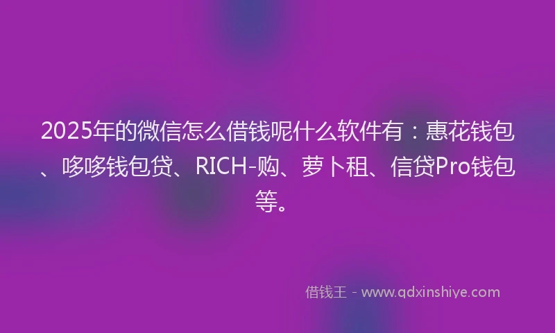 2025年的微信怎么借钱呢什么软件有：惠花钱包、哆哆钱包贷、RICH-购、萝卜租、信贷Pro钱包等。