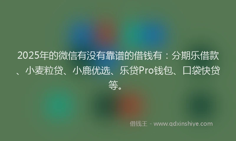 2025年的微信有没有靠谱的借钱有：分期乐借款、小麦粒贷、小鹿优选、乐贷Pro钱包、口袋快贷等。