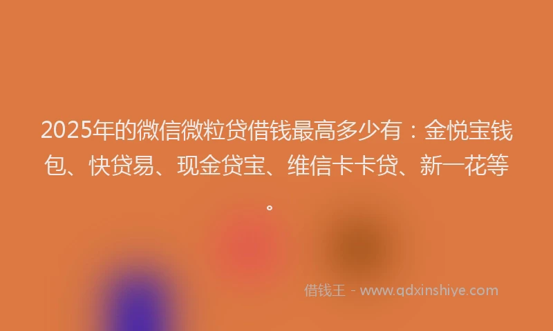 2025年的微信微粒贷借钱最高多少有：金悦宝钱包、快贷易、现金贷宝、维信卡卡贷、新一花等。