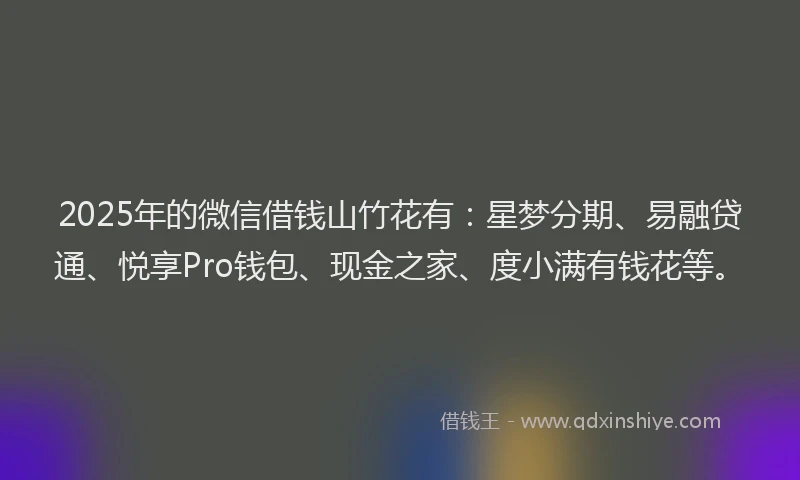 2025年的微信借钱山竹花有：星梦分期、易融贷通、悦享Pro钱包、现金之家、度小满有钱花等。