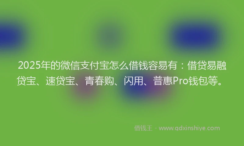 2025年的微信支付宝怎么借钱容易有：借贷易融贷宝、速贷宝、青春购、闪用、普惠Pro钱包等。