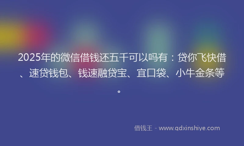 2025年的微信借钱还五千可以吗有：贷你飞快借、速贷钱包、钱速融贷宝、宜口袋、小牛金条等。