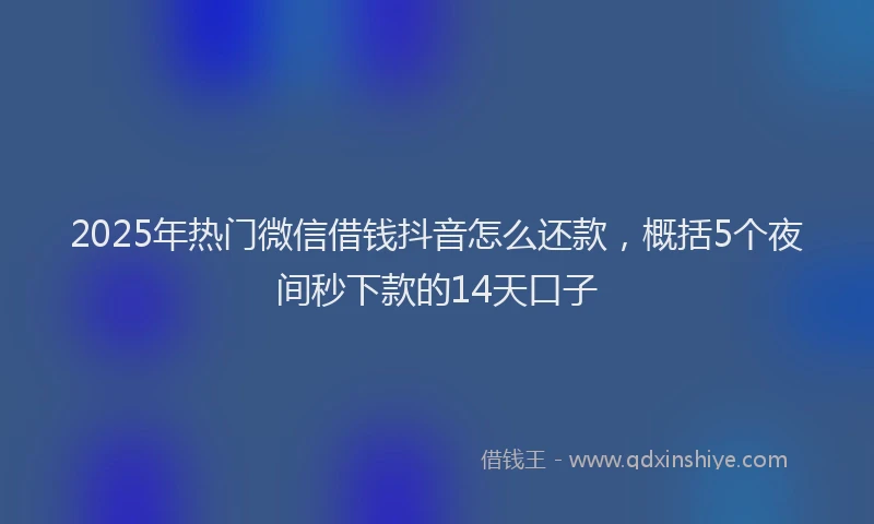 2025年热门微信借钱抖音怎么还款，概括5个夜间秒下款的14天口子