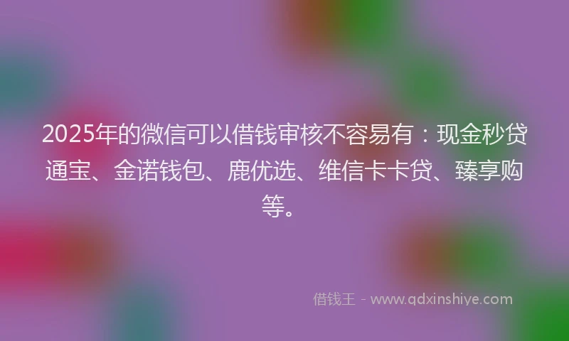 2025年的微信可以借钱审核不容易有：现金秒贷通宝、金诺钱包、鹿优选、维信卡卡贷、臻享购等。