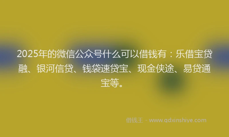 2025年的微信公众号什么可以借钱有：乐借宝贷融、银河信贷、钱袋速贷宝、现金侠途、易贷通宝等。