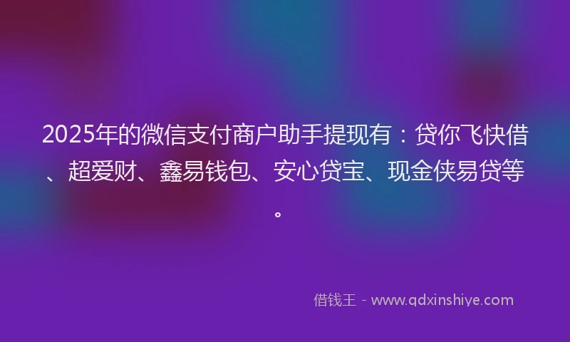 2025年的微信支付商户助手提现有：贷你飞快借、超爱财、鑫易钱包、安心贷宝、现金侠易贷等。