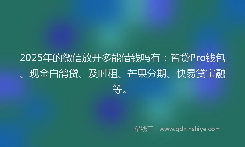 2025年的微信放开多能借钱吗有：智贷Pro钱包、现金白鸽贷、及时租、芒果分期、快易贷宝融等。