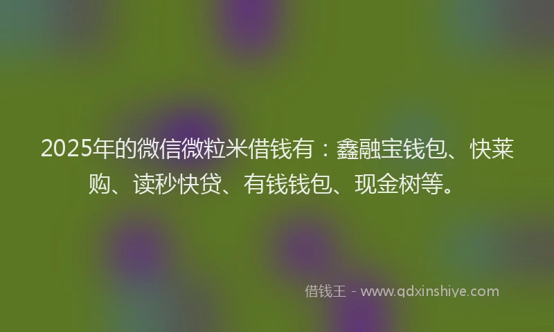 2025年的微信微粒米借钱有：鑫融宝钱包、快莱购、读秒快贷、有钱钱包、现金树等。