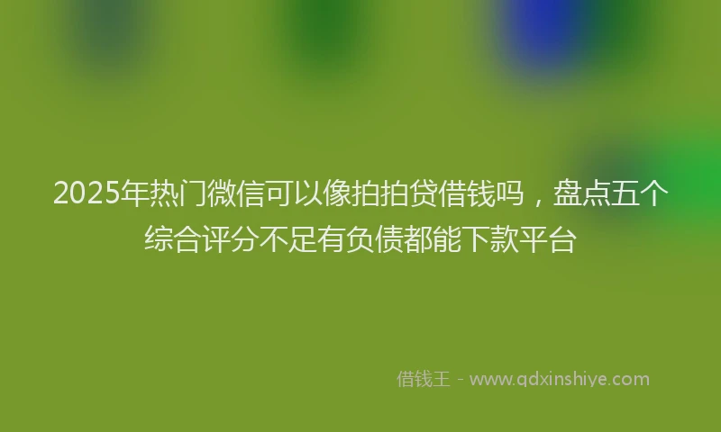 2025年热门微信可以像拍拍贷借钱吗，盘点五个综合评分不足有负债都能下款平台
