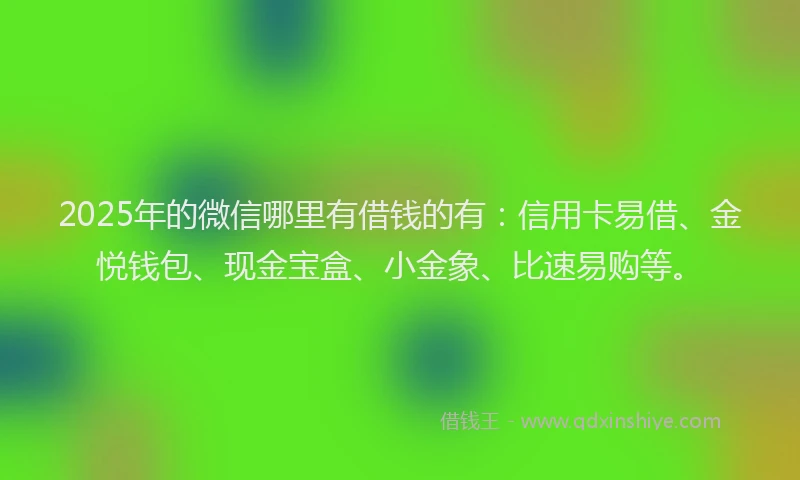2025年的微信哪里有借钱的有：信用卡易借、金悦钱包、现金宝盒、小金象、比速易购等。