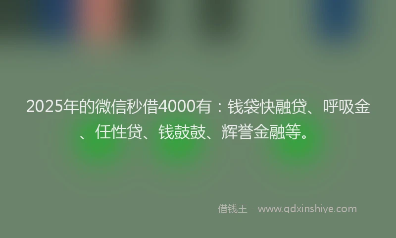 2025年的微信秒借4000有：钱袋快融贷、呼吸金、任性贷、钱鼓鼓、辉誉金融等。