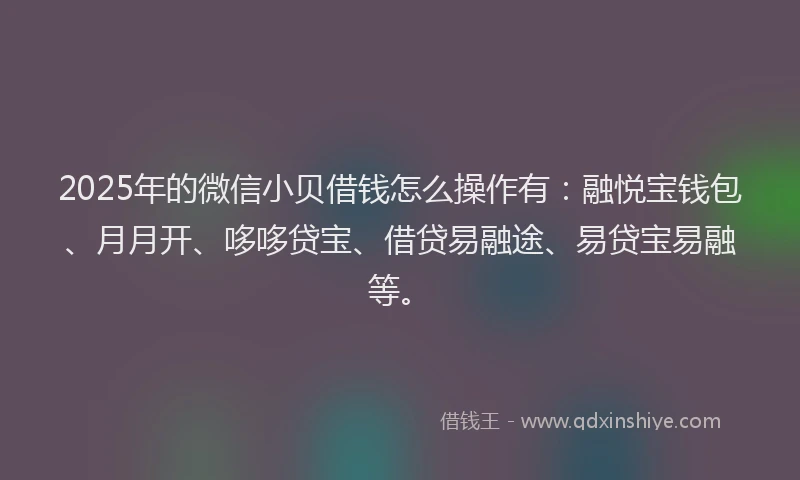 2025年的微信小贝借钱怎么操作有：融悦宝钱包、月月开、哆哆贷宝、借贷易融途、易贷宝易融等。