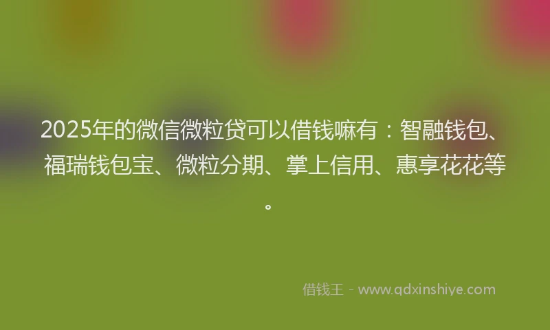 2025年的微信微粒贷可以借钱嘛有：智融钱包、福瑞钱包宝、微粒分期、掌上信用、惠享花花等。