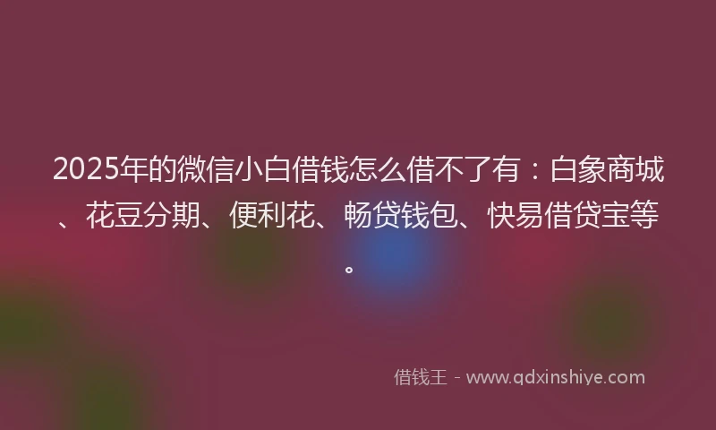 2025年的微信小白借钱怎么借不了有：白象商城、花豆分期、便利花、畅贷钱包、快易借贷宝等。