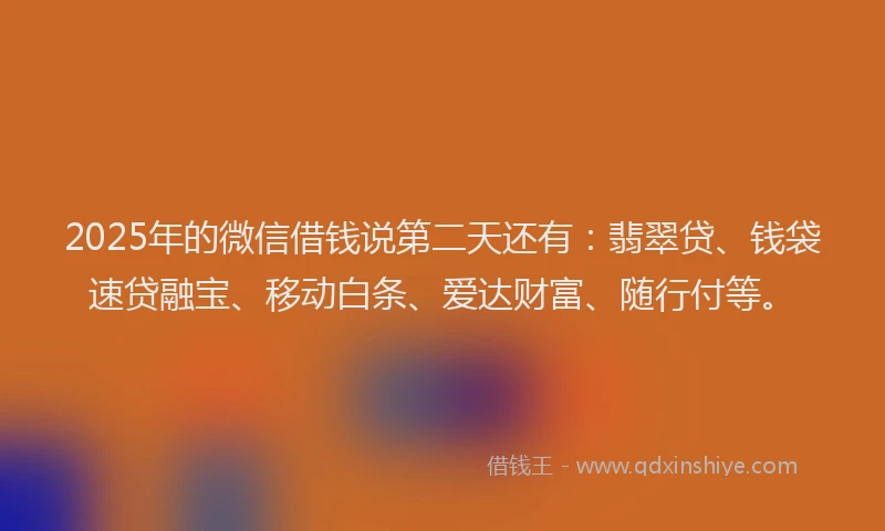2025年的微信借钱说第二天还有：翡翠贷、钱袋速贷融宝、移动白条、爱达财富、随行付等。