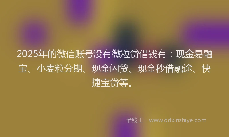 2025年的微信账号没有微粒贷借钱有：现金易融宝、小麦粒分期、现金闪贷、现金秒借融途、快捷宝贷等。