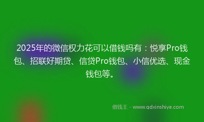 2025年的微信权力花可以借钱吗有：悦享Pro钱包、招联好期贷、信贷Pro钱包、小信优选、现金钱包等。