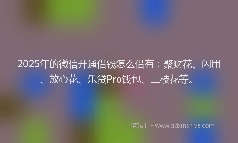 2025年的微信开通借钱怎么借有：聚财花、闪用、放心花、乐贷Pro钱包、三枝花等。