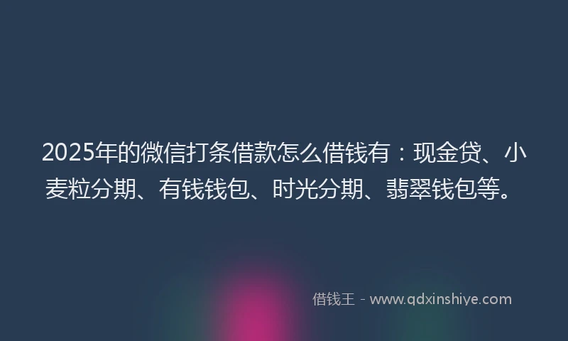 2025年的微信打条借款怎么借钱有：现金贷、小麦粒分期、有钱钱包、时光分期、翡翠钱包等。