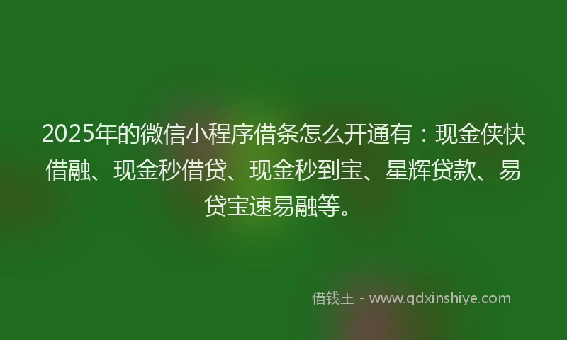 2025年的微信小程序借条怎么开通有：现金侠快借融、现金秒借贷、现金秒到宝、星辉贷款、易贷宝速易融等。