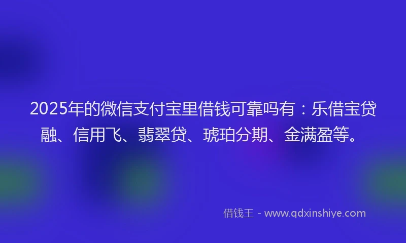 2025年的微信支付宝里借钱可靠吗有：乐借宝贷融、信用飞、翡翠贷、琥珀分期、金满盈等。