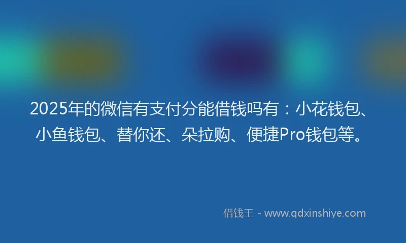 2025年的微信有支付分能借钱吗有：小花钱包、小鱼钱包、替你还、朵拉购、便捷Pro钱包等。
