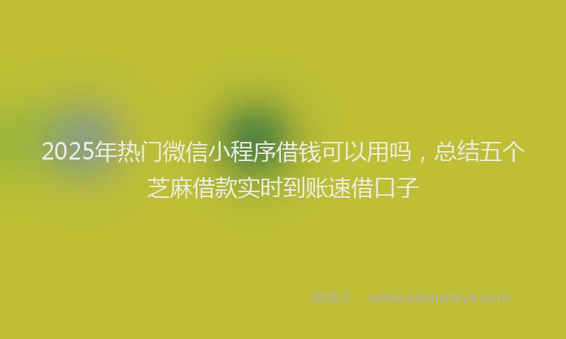2025年热门微信小程序借钱可以用吗，总结五个芝麻借款实时到账速借口子