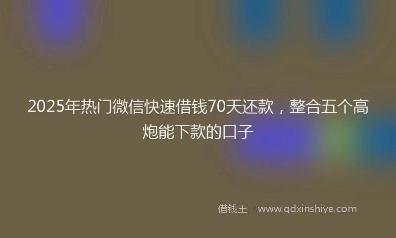 2025年热门微信快速借钱70天还款，整合五个高炮能下款的口子