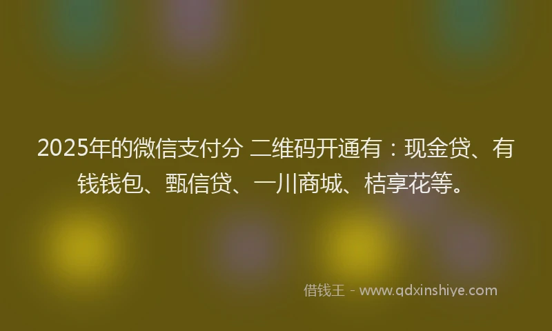 2025年的微信支付分 二维码开通有：现金贷、有钱钱包、甄信贷、一川商城、桔享花等。