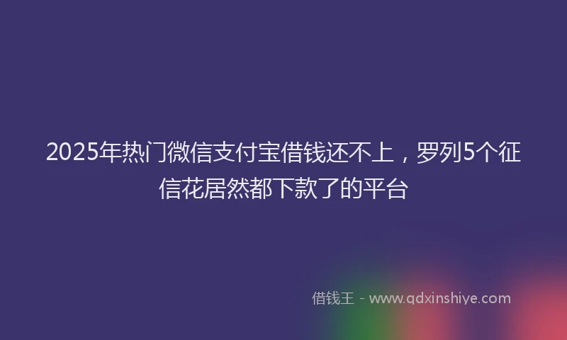 2025年热门微信支付宝借钱还不上，罗列5个征信花居然都下款了的平台