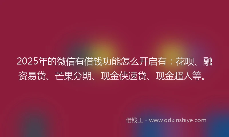 2025年的微信有借钱功能怎么开启有：花呗、融资易贷、芒果分期、现金侠速贷、现金超人等。