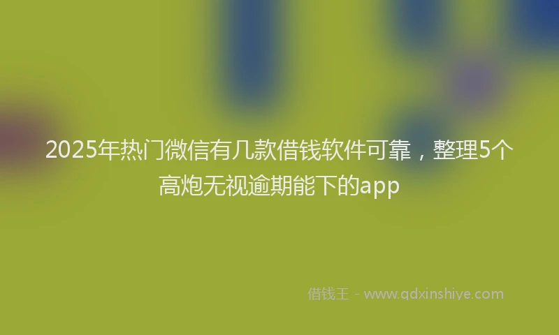 2025年热门微信有几款借钱软件可靠，整理5个高炮无视逾期能下的app
