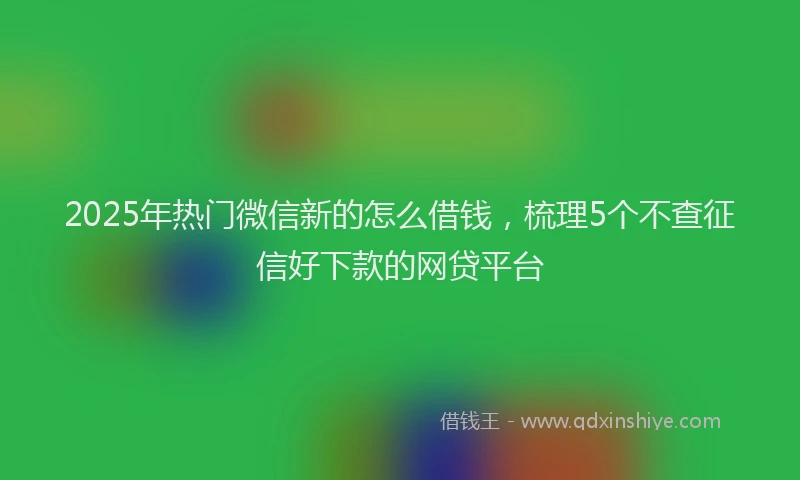 2025年热门微信新的怎么借钱，梳理5个不查征信好下款的网贷平台