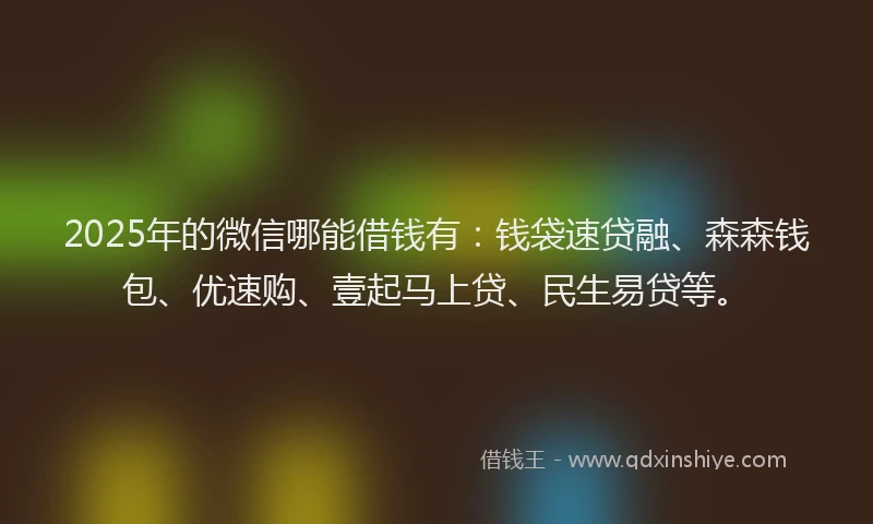 2025年的微信哪能借钱有：钱袋速贷融、森森钱包、优速购、壹起马上贷、民生易贷等。