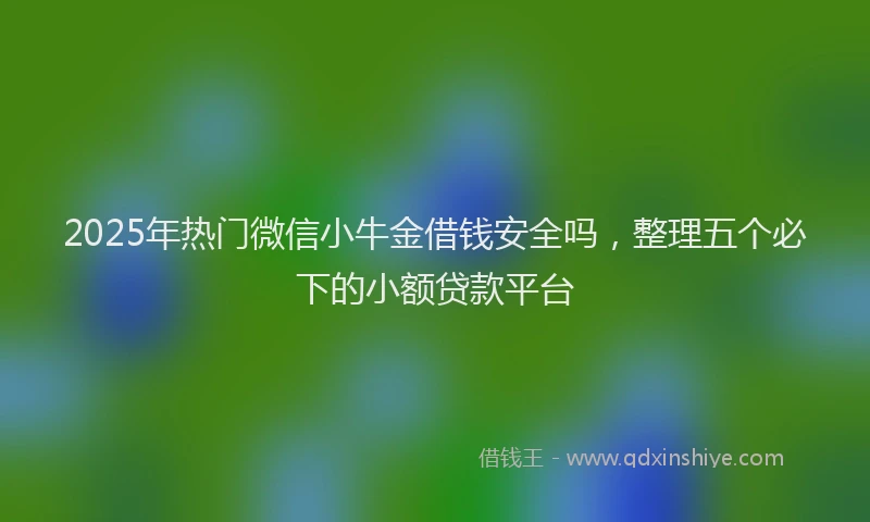 2025年热门微信小牛金借钱安全吗，整理五个必下的小额贷款平台