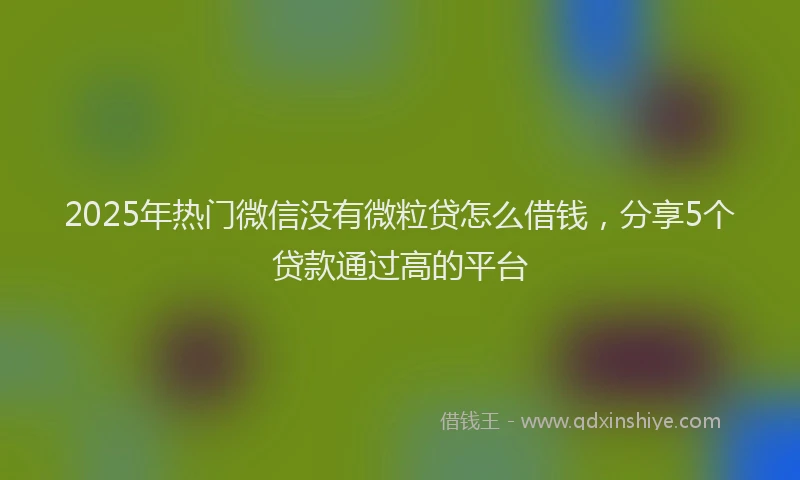 2025年热门微信没有微粒贷怎么借钱，分享5个贷款通过高的平台