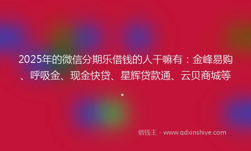 2025年的微信分期乐借钱的人干嘛有：金峰易购、呼吸金、现金快贷、星辉贷款通、云贝商城等。