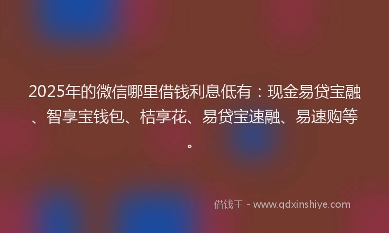 2025年的微信哪里借钱利息低有：现金易贷宝融、智享宝钱包、桔享花、易贷宝速融、易速购等。