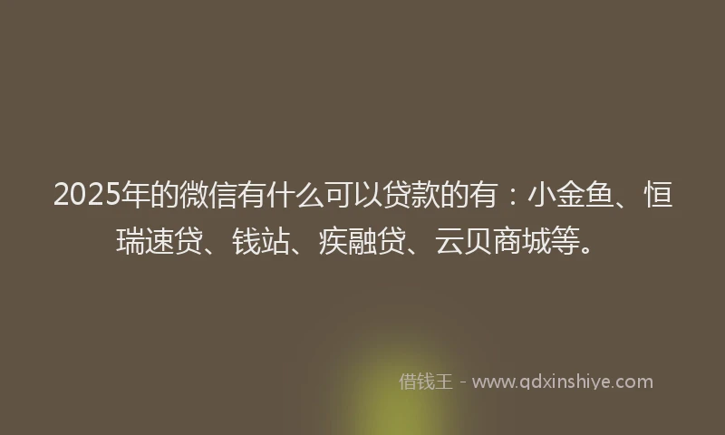 2025年的微信有什么可以贷款的有：小金鱼、恒瑞速贷、钱站、疾融贷、云贝商城等。