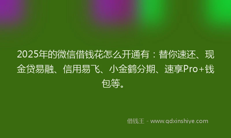 2025年的微信借钱花怎么开通有：替你速还、现金贷易融、信用易飞、小金鹤分期、速享Pro+钱包等。