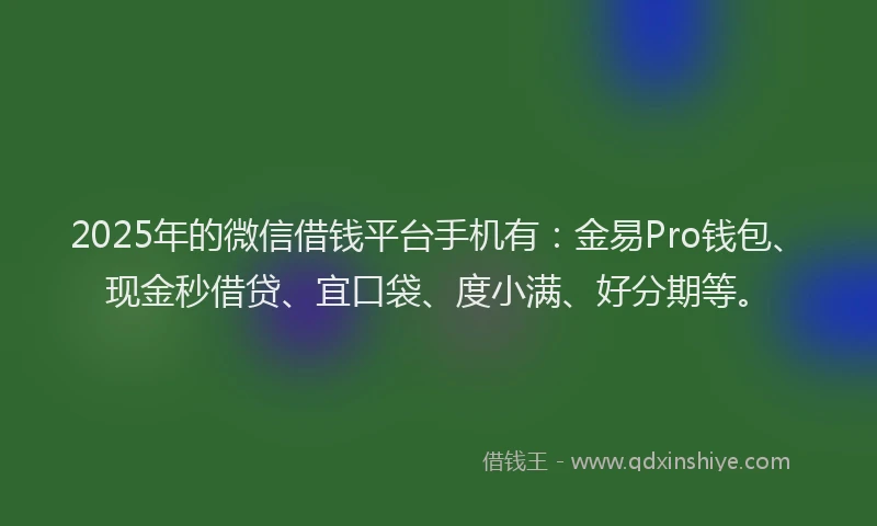 2025年的微信借钱平台手机有：金易Pro钱包、现金秒借贷、宜口袋、度小满、好分期等。