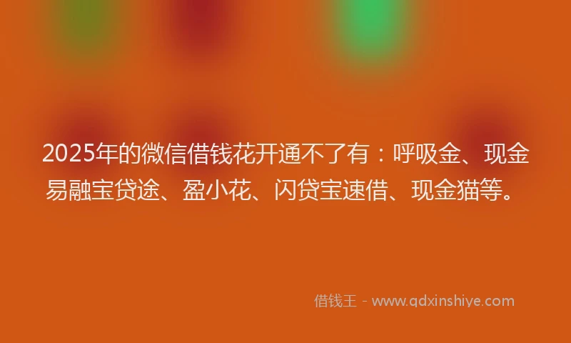 2025年的微信借钱花开通不了有：呼吸金、现金易融宝贷途、盈小花、闪贷宝速借、现金猫等。