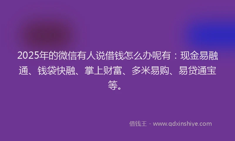 2025年的微信有人说借钱怎么办呢有：现金易融通、钱袋快融、掌上财富、多米易购、易贷通宝等。