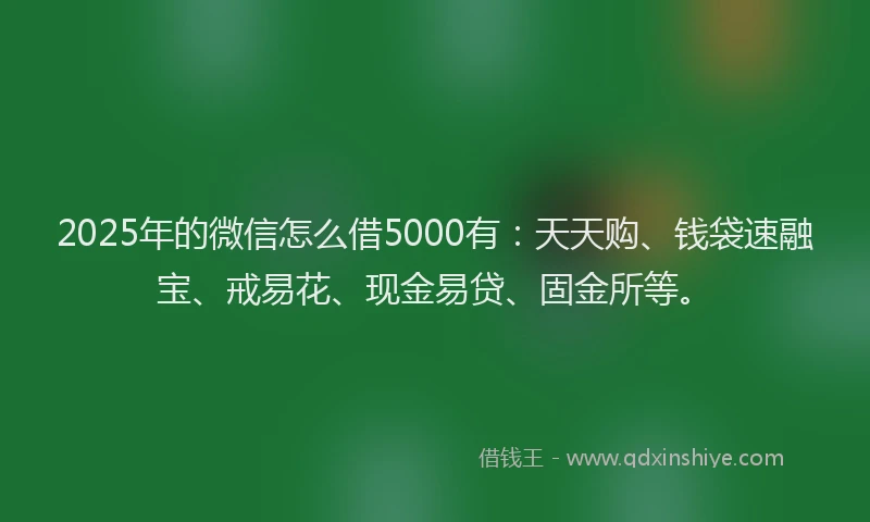 2025年的微信怎么借5000有：天天购、钱袋速融宝、戒易花、现金易贷、固金所等。