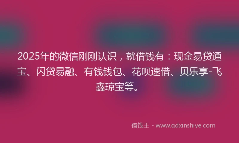 2025年的微信刚刚认识，就借钱有：现金易贷通宝、闪贷易融、有钱钱包、花呗速借、贝乐享-飞鑫琼宝等。