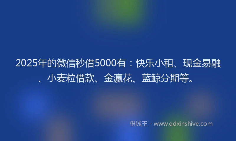 2025年的微信秒借5000有：快乐小租、现金易融、小麦粒借款、金瀛花、蓝鲸分期等。