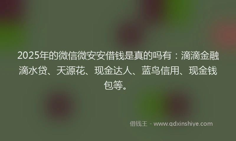 2025年的微信微安安借钱是真的吗有：滴滴金融滴水贷、天源花、现金达人、蓝鸟信用、现金钱包等。