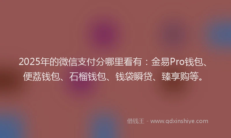 2025年的微信支付分哪里看有：金易Pro钱包、便荔钱包、石榴钱包、钱袋瞬贷、臻享购等。