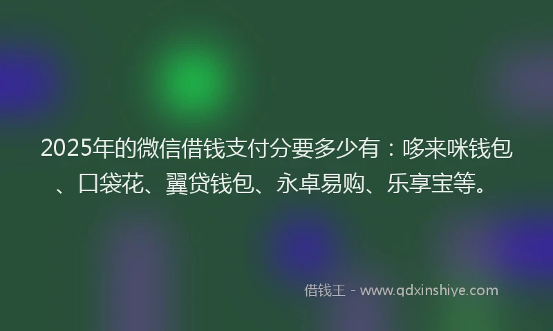 2025年的微信借钱支付分要多少有：哆来咪钱包、口袋花、翼贷钱包、永卓易购、乐享宝等。