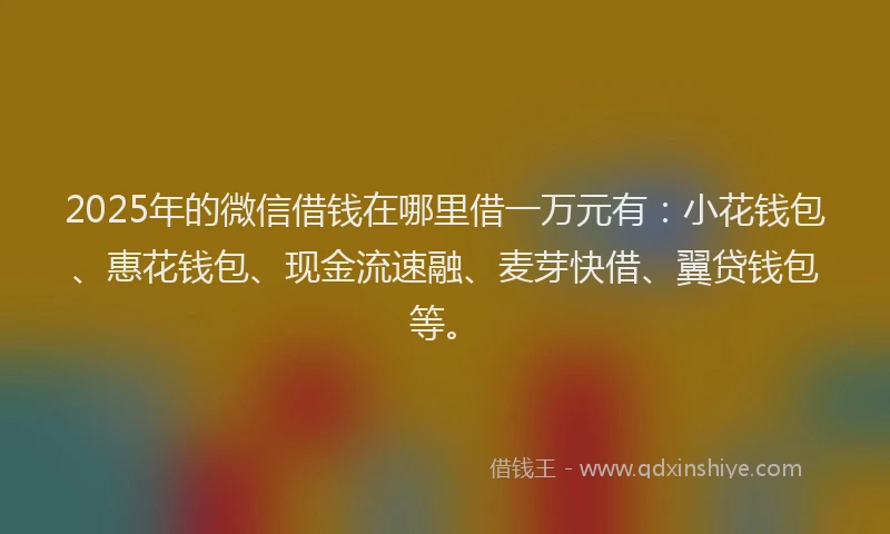 2025年的微信借钱在哪里借一万元有：小花钱包、惠花钱包、现金流速融、麦芽快借、翼贷钱包等。